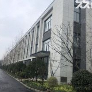 50年大产权，高标准框架结构9.6米挑高