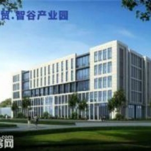 徐州国贸智谷产业园(高标准厂房出售)