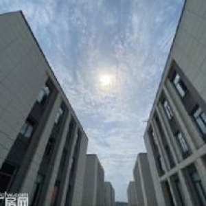 金山桥，全新厂房，独栋，园区直招（非中介），1000&min