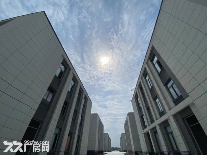 高新区全新厂房，管委会南隔壁，独栋双拼花园式产品