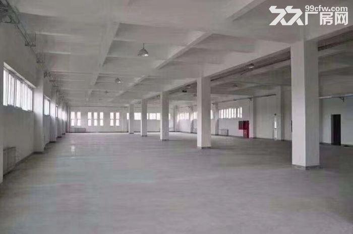 高新区全新厂房，管委会南隔壁，独栋双拼花园式产品-图4