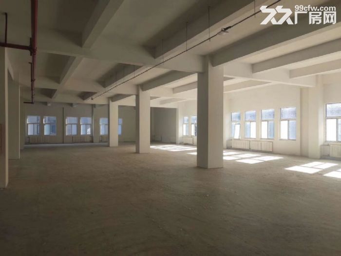 高新区全新厂房，管委会南隔壁，独栋双拼花园式产品-图6