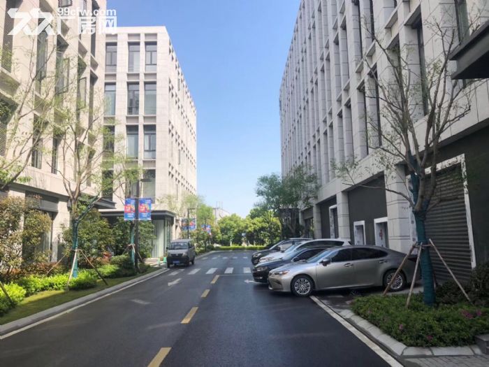 高新区全新厂房，管委会南隔壁，独栋双拼花园式产品-图7