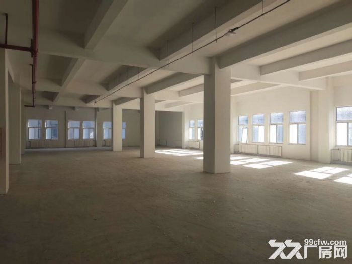 金山桥全新厂房，独栋别墅级，独立房本，独立车位，挑高8米-图8